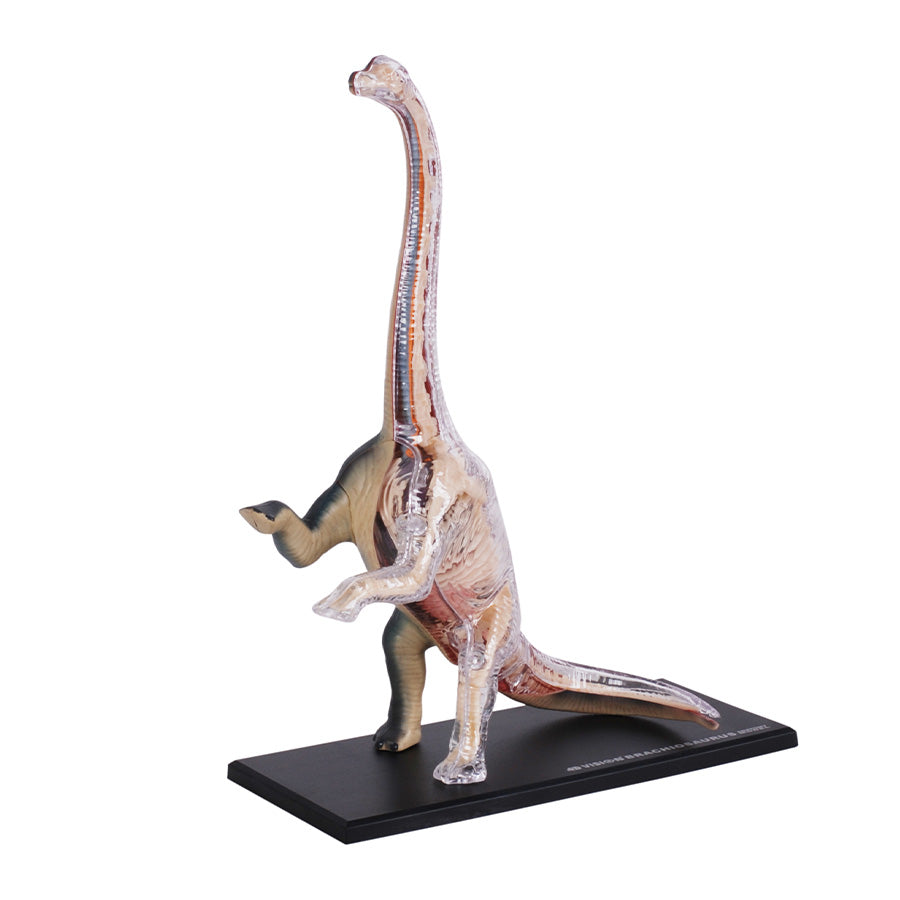 Đồ Chơi Mô Hình Giải Phẫu 4D - Khủng Long Brachiosaurus STEAM 622015