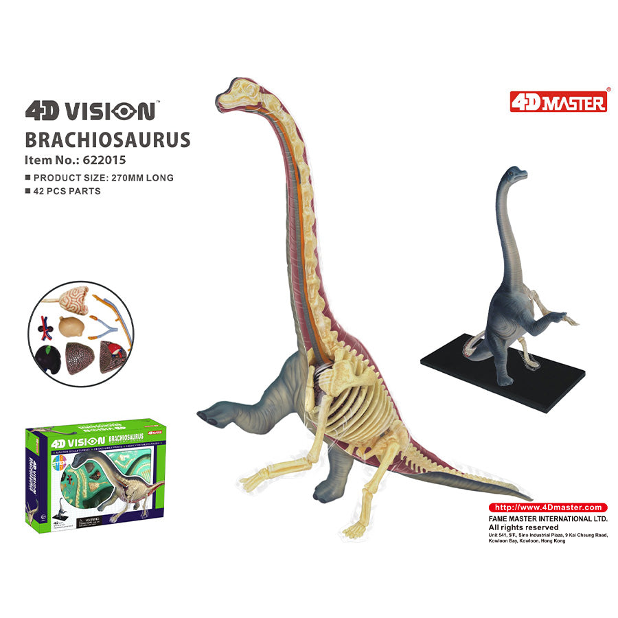 Đồ Chơi Mô Hình Giải Phẫu 4D - Khủng Long Brachiosaurus STEAM 622015