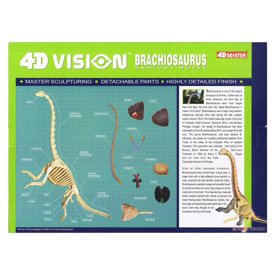 Đồ Chơi Mô Hình Giải Phẫu 4D - Khủng Long Brachiosaurus STEAM 622015