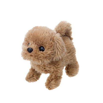 cun-con-baby-toypoodle-3114-7vn-js-01