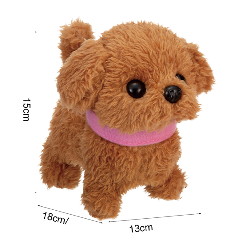 cun-con-r-c-toypoodle-iwaya-3159-6vn-js-03