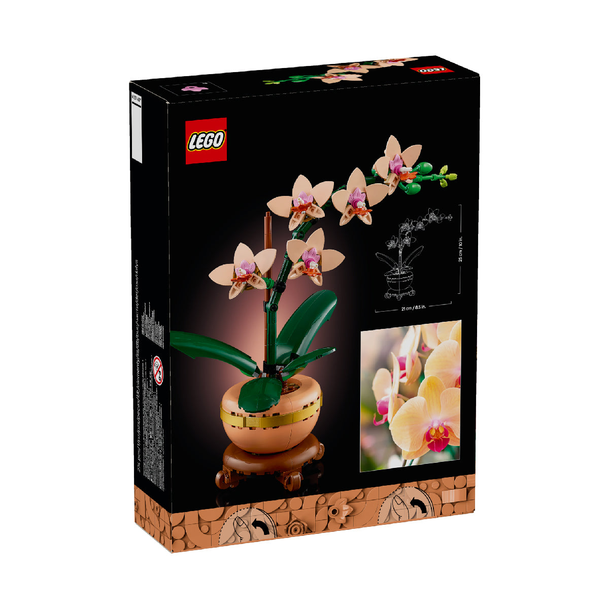 Đồ Chơi Lắp Ráp Hoa Lan Nhỏ LEGO BOTANICALS 10343