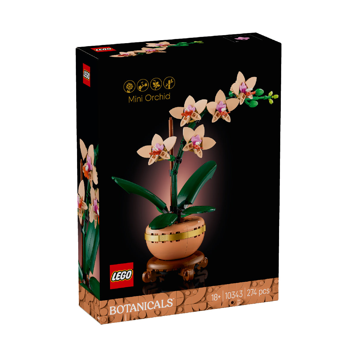 Đồ Chơi Lắp Ráp Hoa Lan Nhỏ LEGO BOTANICALS 10343