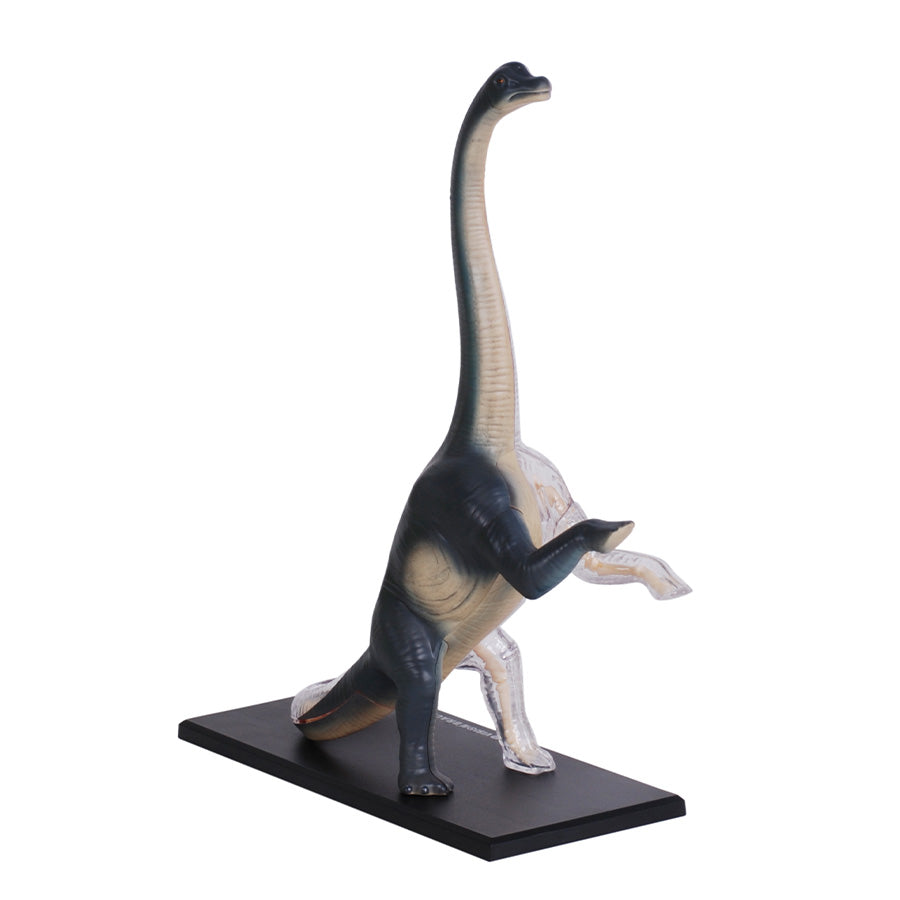 Đồ Chơi Mô Hình Giải Phẫu 4D - Khủng Long Brachiosaurus STEAM 622015