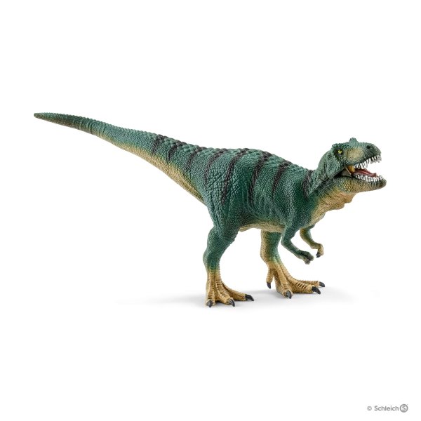 khung-long-tyrannosaurus-nho-15007-03