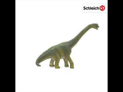 khung-long-brachiosaurus-14581-03