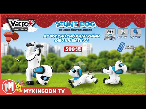 do-choi-robot-chu-cho-khau-khinh-dieu-khien-tu-xa-vtk21-04