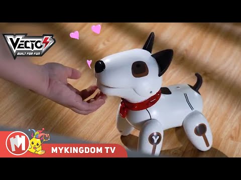 robot-chu-cho-tinh-nghich-vt18012-04