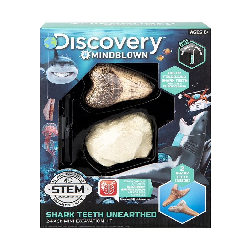 STEAM 2pc shark tooth tracing archeology set 1423004791