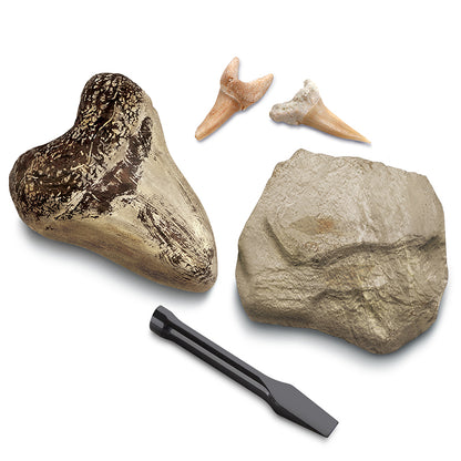 STEAM 2pc shark tooth tracing archeology set 1423004791