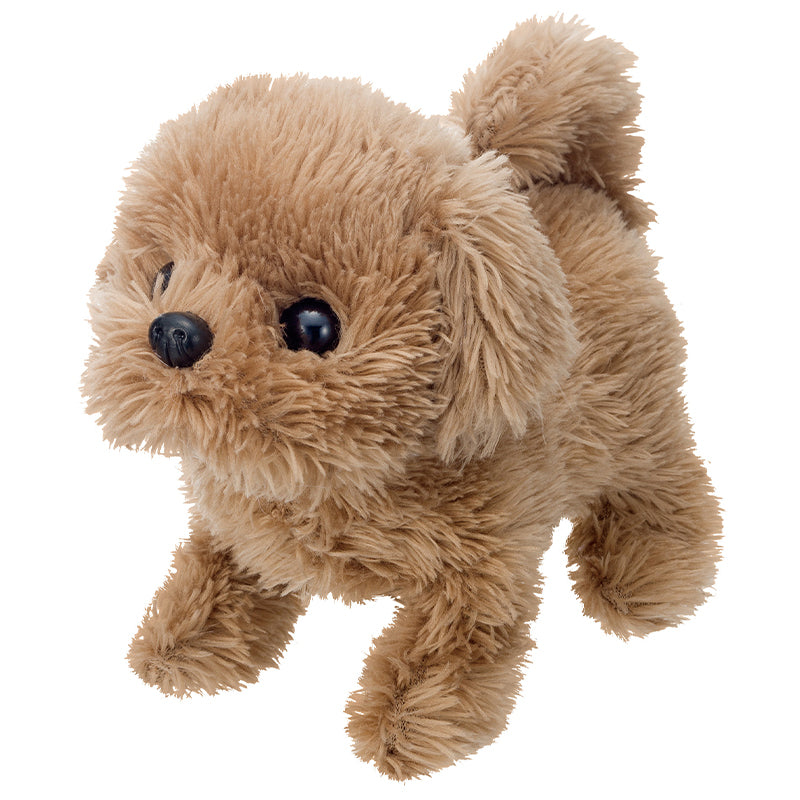 Puppy - Baby Toypoodle IWAYA 3114-7VN/JS