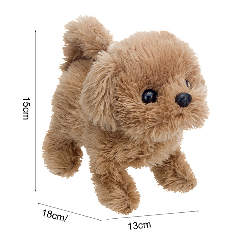 Puppy - Baby Toypoodle IWAYA 3114-7VN/JS