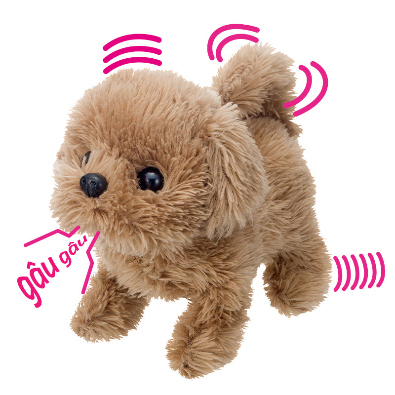 Puppy - Baby Toypoodle IWAYA 3114-7VN/JS