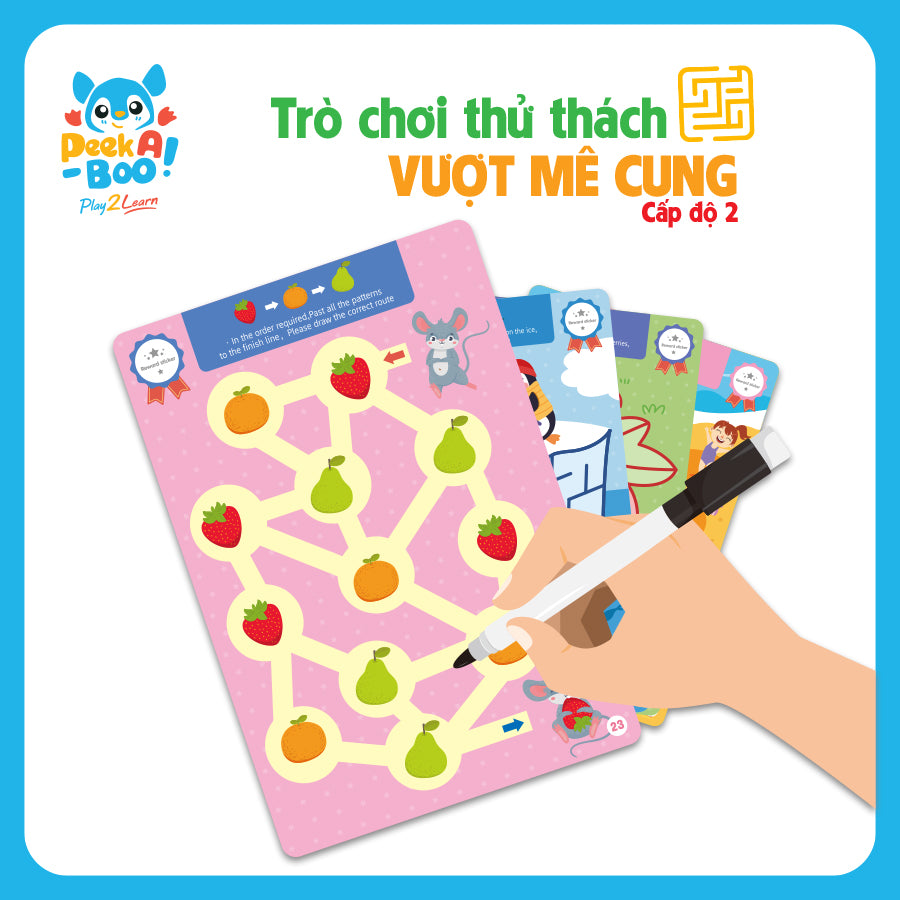 do-choi-thu-thach-vuot-me-cung-cap-do-2-pab042-2-03